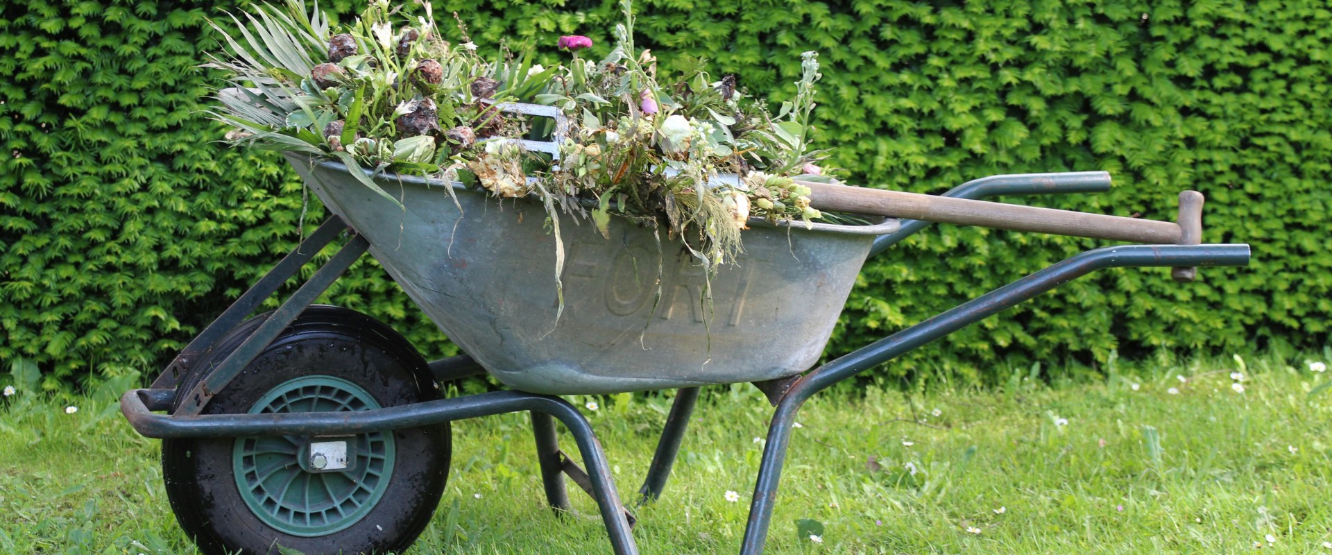 Why Paving Contractors In Portland, OR, Need Skilled Landscapers On Their Team
