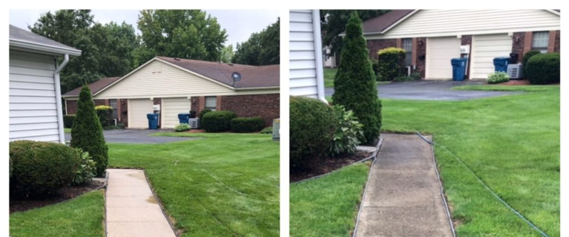 Why Concrete Surfaces Near Landscaping Need Regular Soft Washing