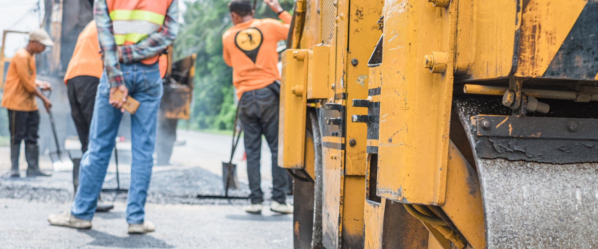 Boost Your Curb Appeal: How Tree Pruning And Paving Contractors Can Transform Your Ellisville Property