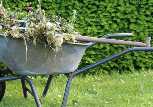 Why Paving Contractors In Portland, OR, Need Skilled Landscapers On Their Team