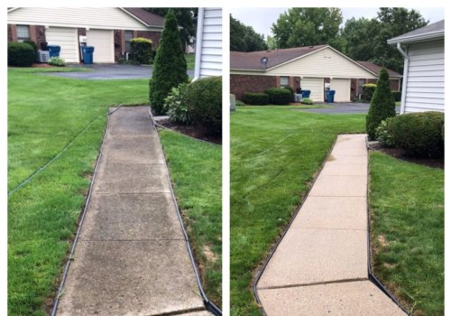 Why Concrete Surfaces Near Landscaping Need Regular Soft Washing